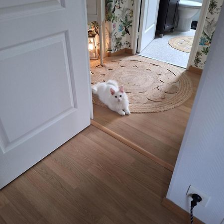 Chambre Climatisee Au Coeur De Brive Avec Televiseur Connecte Wifi Netflix Екстер'єр фото